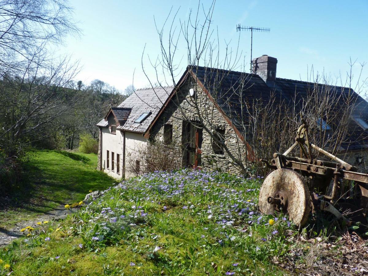 Ceridwen Holiday Homes Llandysul Zewnętrze zdjęcie